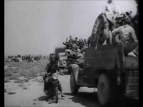 Caudillo (1974),de Basilio Martín Patino