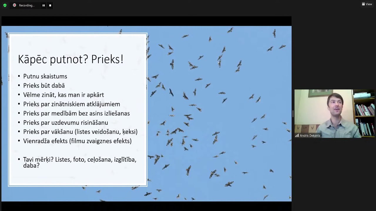Nedēļas nogalē daudzviet Latvijā norisināsies Putnu dienas 2022