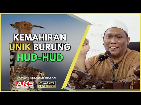 Tanya Sama Itu HUD-HUD 