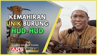 Download lagu 212 | Tanya Sama Itu HUD-HUD 😯 | Ustaz Auni Mohamed mp3 Download lagu 212 | Tanya Sama Itu HUD-HUD 😯 | Ustaz Auni Mohamed mp3