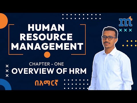 Human Resource Management (HRM): Definitions, Functions, and Evolution
