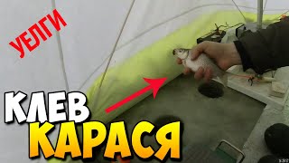 Отчет о рыбалке на уелгах
