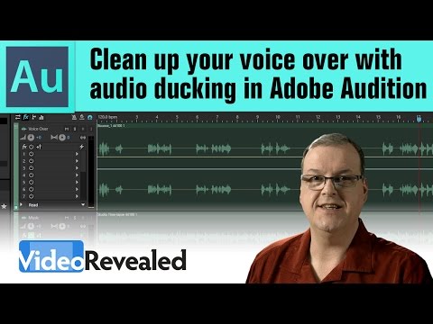 Introduction to Adobe Audition