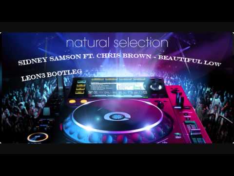 Sidney Samson Feat Chris Brown - Beautiful Low ( Leon3 Bootleg )