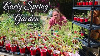 What I'm Doing in My Garden This Week 🌱 Early Spring Garden