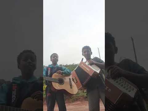 os mineirinhos   fazendo sucesso  . direto da comunidade do cará   zona rural de setubinha.  MG