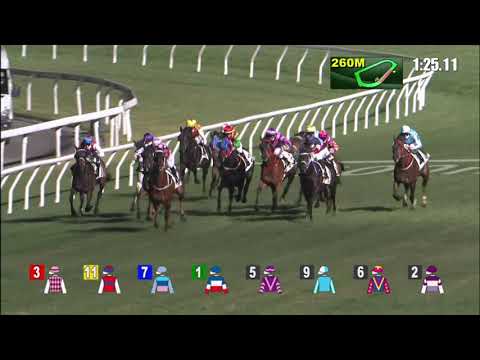 13/1/2021 (339) Gallant Crown -  K Teetan