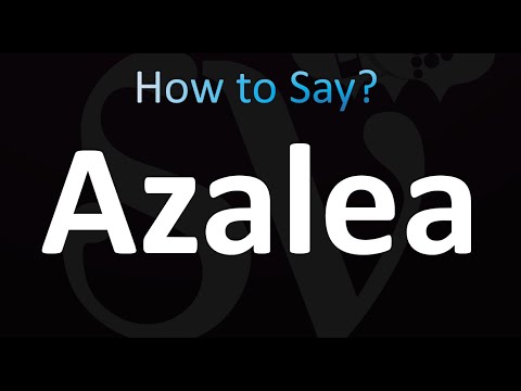 How to Pronounce Azalea (Correctly!)