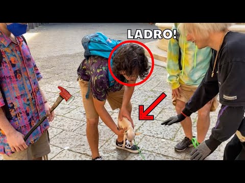 DEI LADRI HANNO RAPITO IL NOSTRO CAGNOLINO! *terrificante*