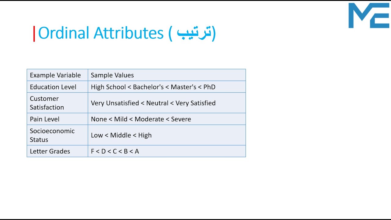 📊 Types of Data Explained: Why It Matters in Statistics
