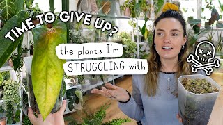 Really DIFFICULT Plants 😭 I'm Struggling With These Houseplants