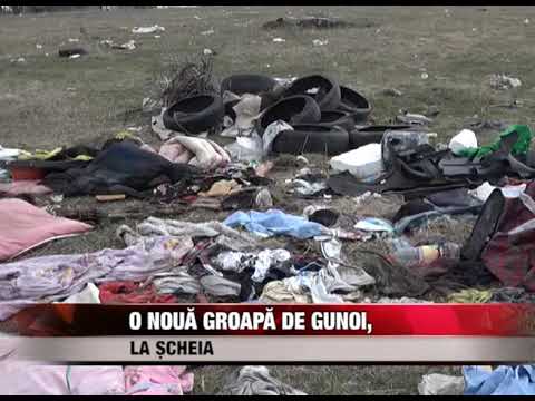 O nouă groapă de gunoi, la Șcheia