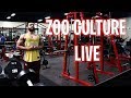 ZOO CULTURE BENCH PRESS PR LIVE STREAM HIGHLIGHTS! | MUST WATCH IF YOU MISSED THE STREAM!