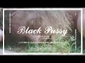 Black Pussy Don T Fear The Reaper Official Video