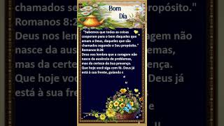 Linda mensagem de Bom Dia Deus Cuida de Tudo  #lindamensagem #bomdia #mensagem #gratidão #sabedoria