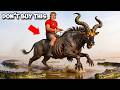I Bought The Scariest Wildebeest To Keep As A Pet