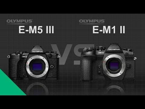 Olympus OM-D E-M5 Mark III vs Olympus OM-D E-M1 Mark II