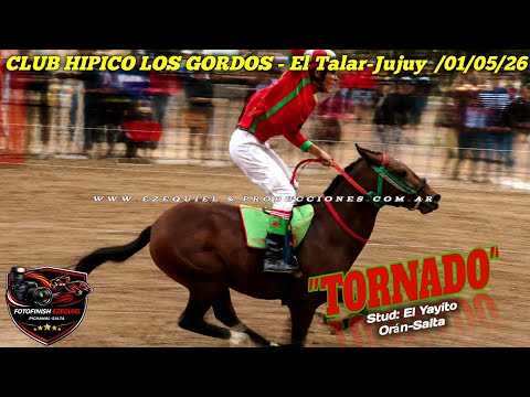 1°TORNADO  2°CHICA RUBIA Club Hipico Los Gordos El Talar-Jujuy Sábado 23 Mayo 2026