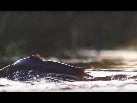 A first at Fyn (4 of 4) - the conservation programme