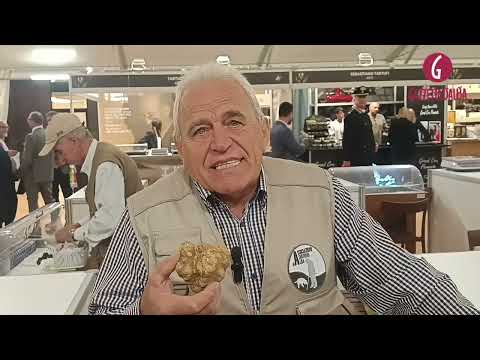 Tartufi: ad Alba si apre il mercato a 450 euro all'etto