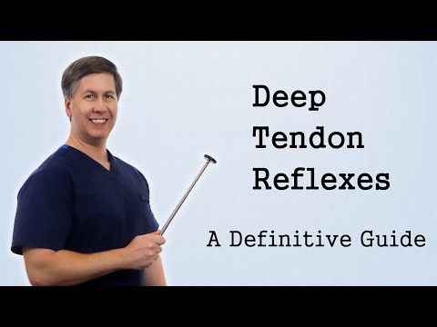 image-What causes deep tendon reflexes?