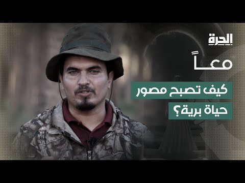 فيديو | كيف تصبح مصور حياة برية؟