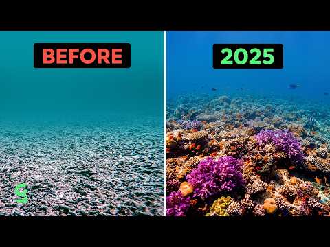 10 Good News That Will Make You Happy