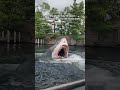 The LAST JAWS Ride In The World Yup And It S Alive And Thrashing In Japan