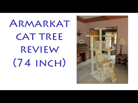 Armarkat cat tree review