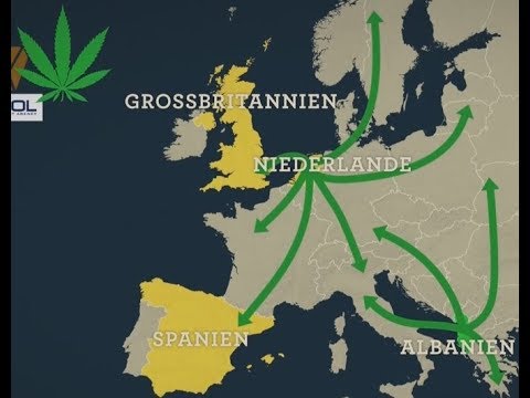 Cannabis, ein globales Geschäft