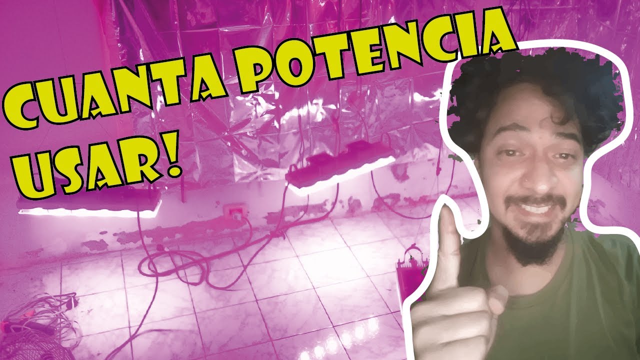Cultivando con LED ¿Cuántas MACETAS y cuanta POTENCIA usar Todos los modelos!