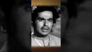 क्यों दिलीप कुमार सायरा बानो पर हुवे गुस्सा | #dilipkumar #sairabanu #Shorts #YoutubeShorts