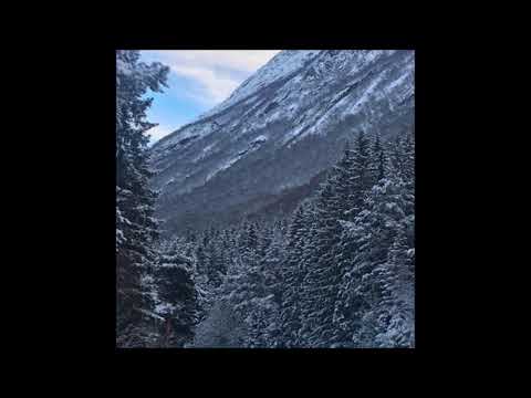 106. Vegard - hysj [silence!] [30.12.2017]