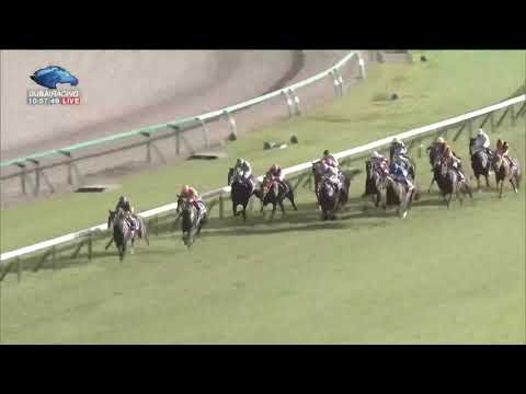 2019.09.29 Sprinters Stakes (JPN) - Tower of London