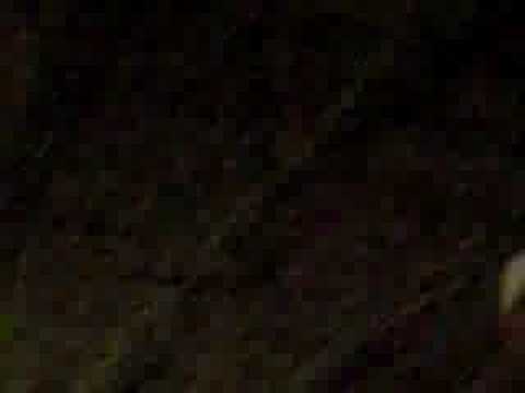 Systemania Teste di chi smania