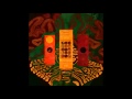 Glass Animals- Dust in your pocket 