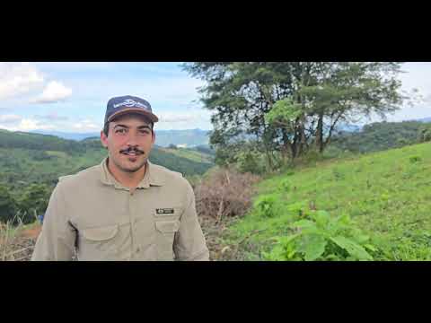 🍀 LINDO TERRENO 1.000m² SÓ R$: 39.700.ENTRE AS CIDADES DE TOLEDO MG - ITAPEVA  / EXTREMA / MUNHOZ 🍀