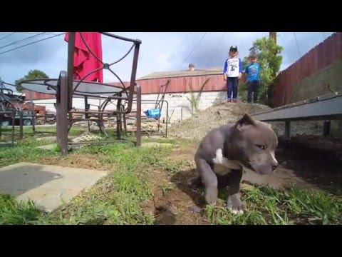 rocken with Liam and Danitza