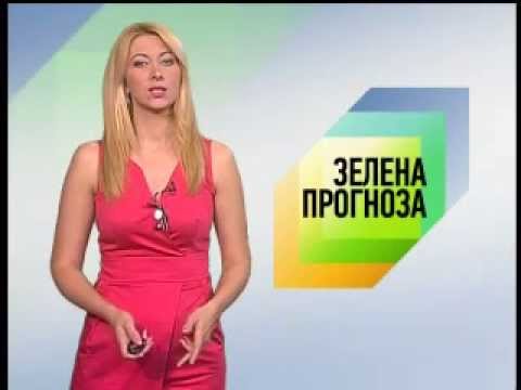 Zelena prognoza 22.7.2013.