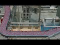 EVNEVI11201 Video 1