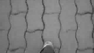 Lune de miel - Don Choa - Paroles