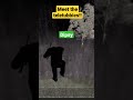 Roblox Creepypasta Teletubbies Meet The Teletubbies In OHIO Game Name Slendytubbies Vs Redux