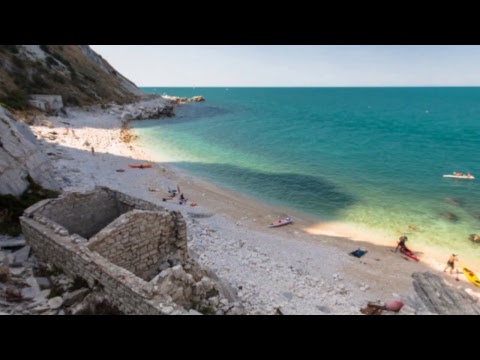 In consolle...   DJ THE VIPER