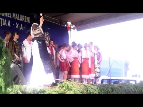 Ziua comunei Malureni