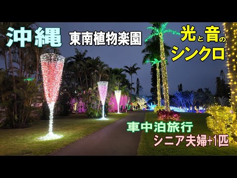 沖縄一周車中泊旅行記28【美らヤシパークオキナワ・東南植物楽園】夜のイルミネーションは沖縄の宝石箱！シニア夫婦と犬1匹が自作キャンピングシェルで行く