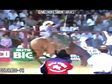 EDSON BELARMINO X XODÓ - RODEIO DE COLORADO #rodeio #rodeo #cutiano #horseriding