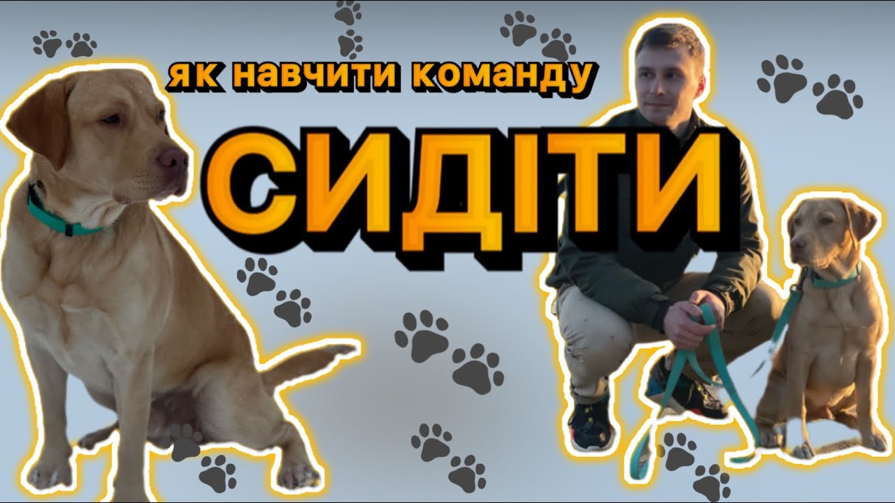 YouTube video preview