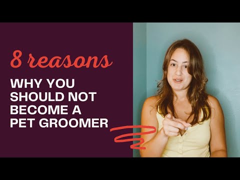 8 REASONS WHY YOU SHOULD NOT BECOME A PET GROOMER