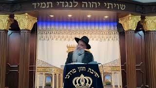הרב מאיר דוד שמואלי - ימי עת רצון לא להפסיד