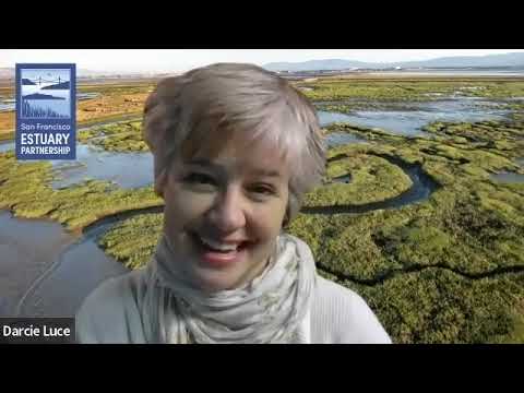 Beauty Ahead — Reimagining the San Francisco Estuary Shoreline